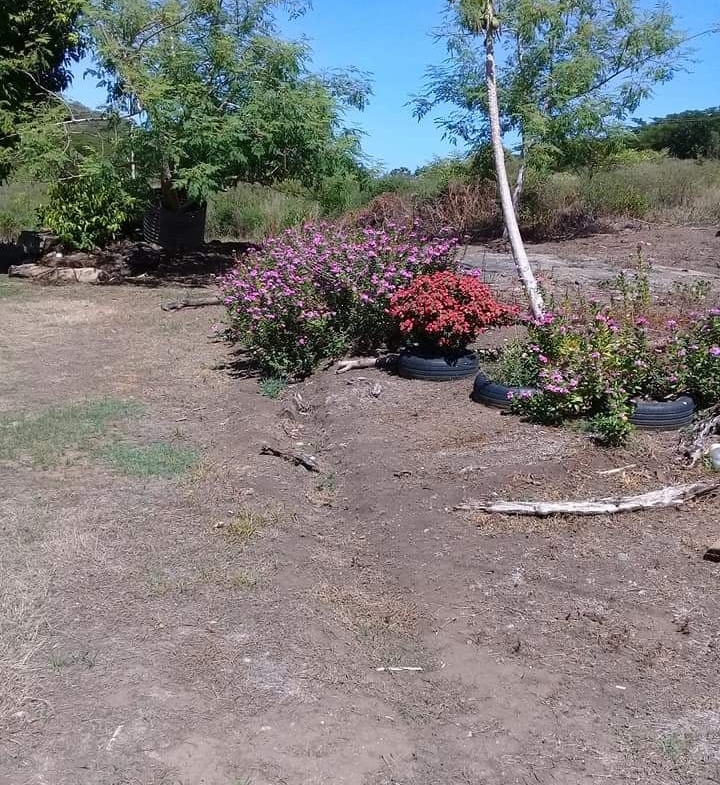 VATIA, BA