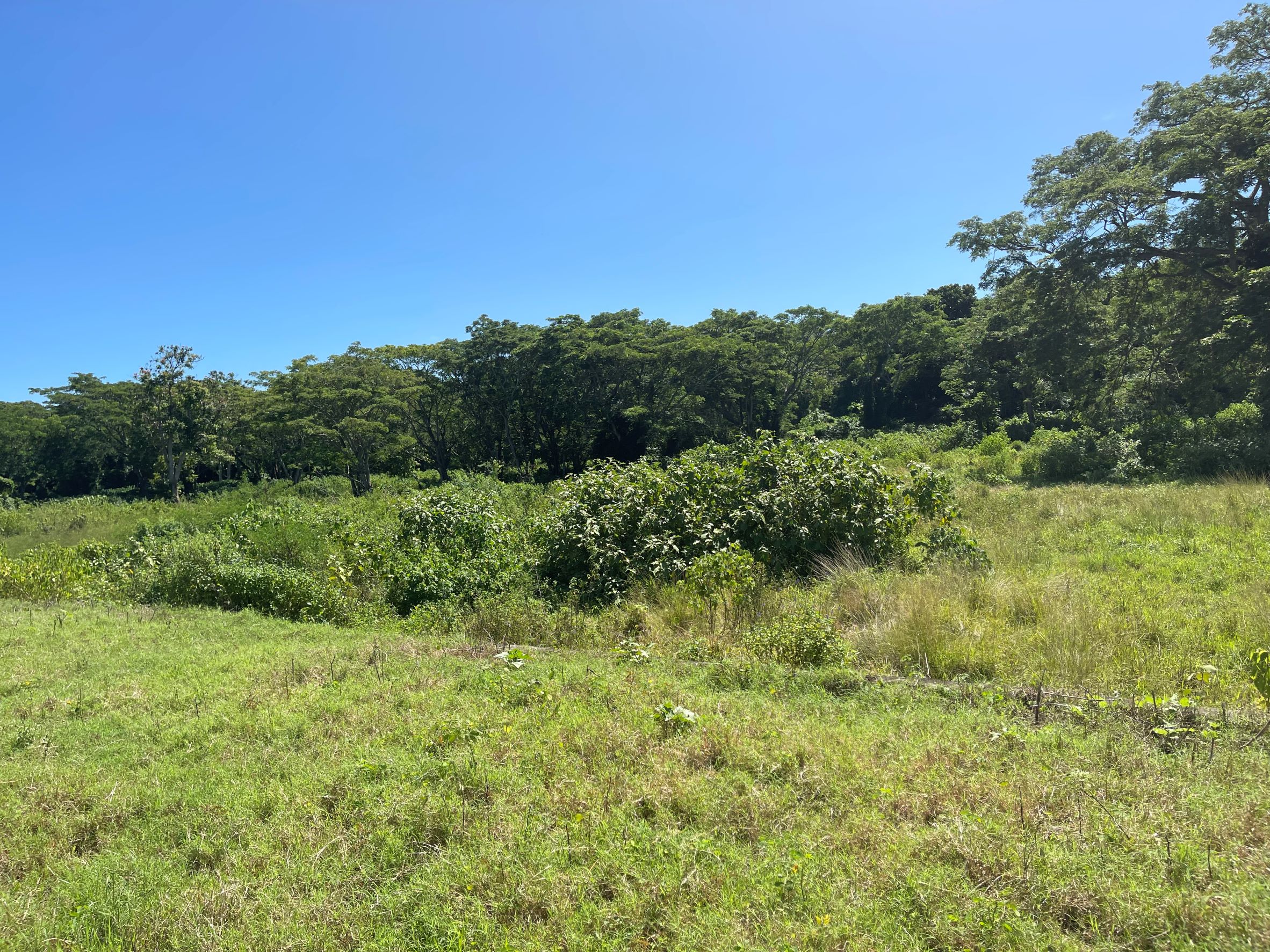 Nasau Road, Off Valley Road, Sigatoka