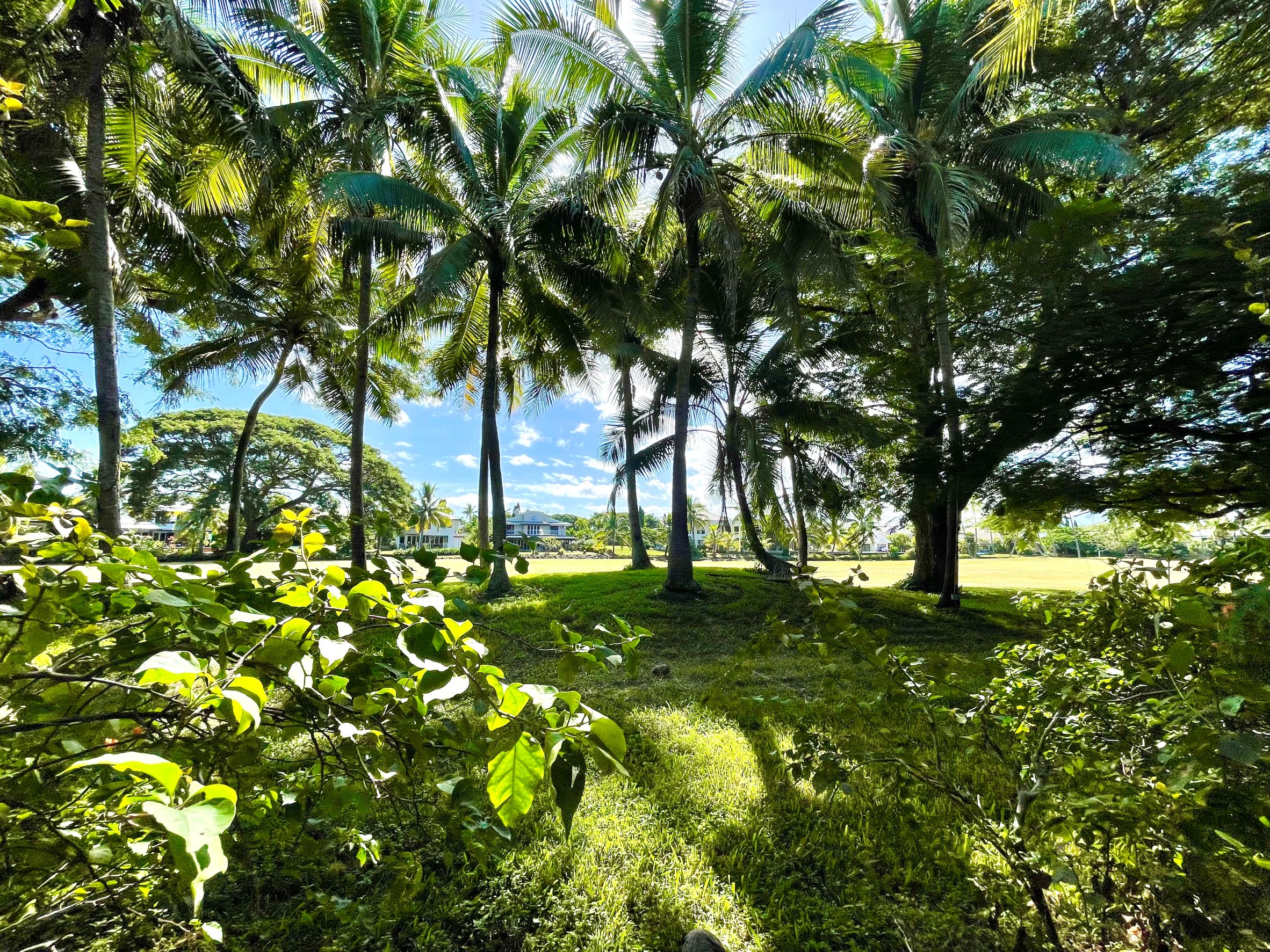 The Links, Denarau Island, Fiji