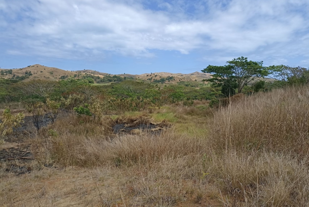 Uciwai 10 Acres Crown Residential Vacant Land for Sale
