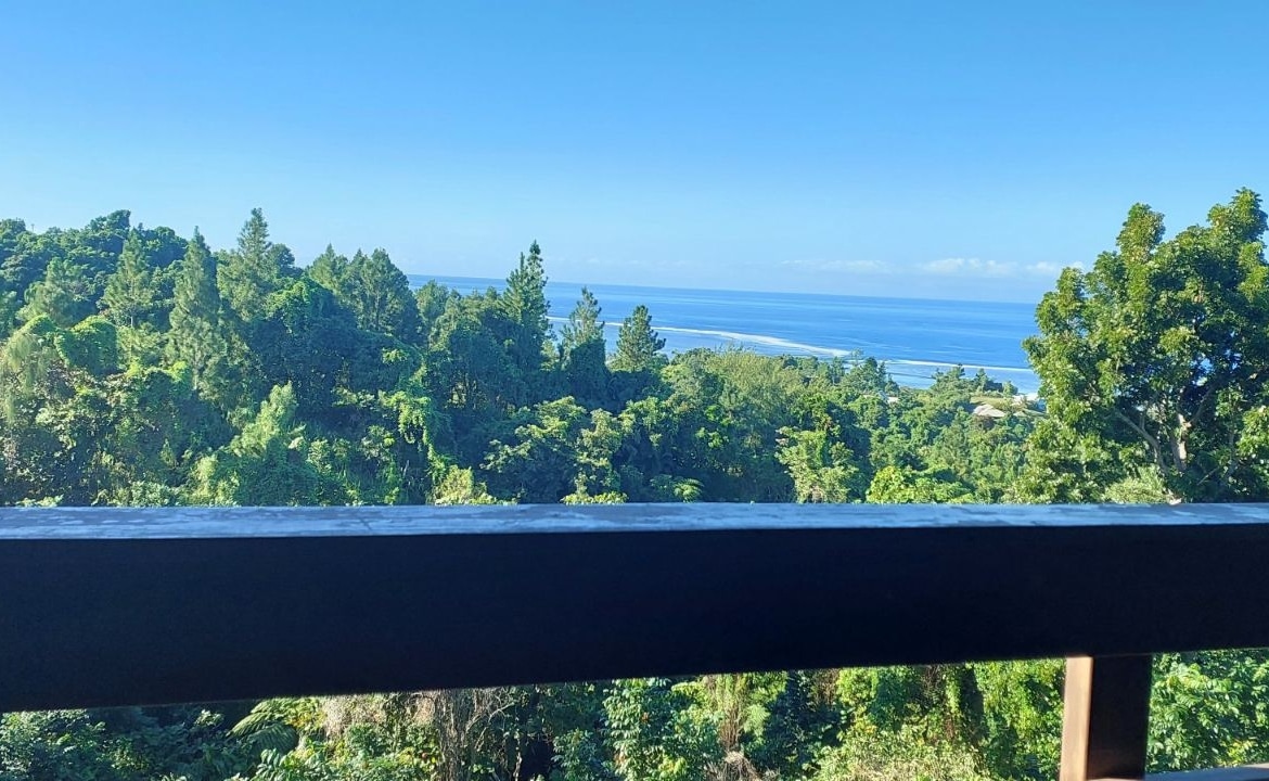 Maui Bay Sigatoka