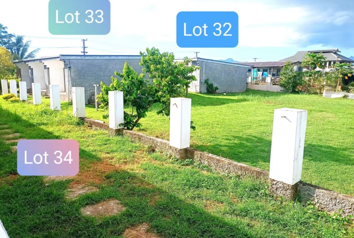 Parcel of 3 developed lots for Sale, Nadi 南迪3个房产打包出售