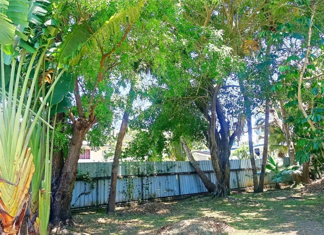 Spacious Double Storey 5 Bedroom Family Home for Sale 南迪双层独栋5房4.5卫房产出售