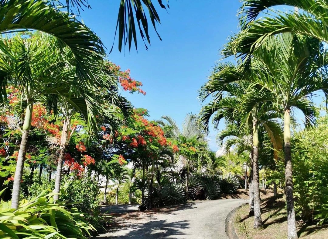 Savusavu Maravu Paradise Ocean View Villa For Sale 斐济外岛萨乌萨乌天堂别墅出售