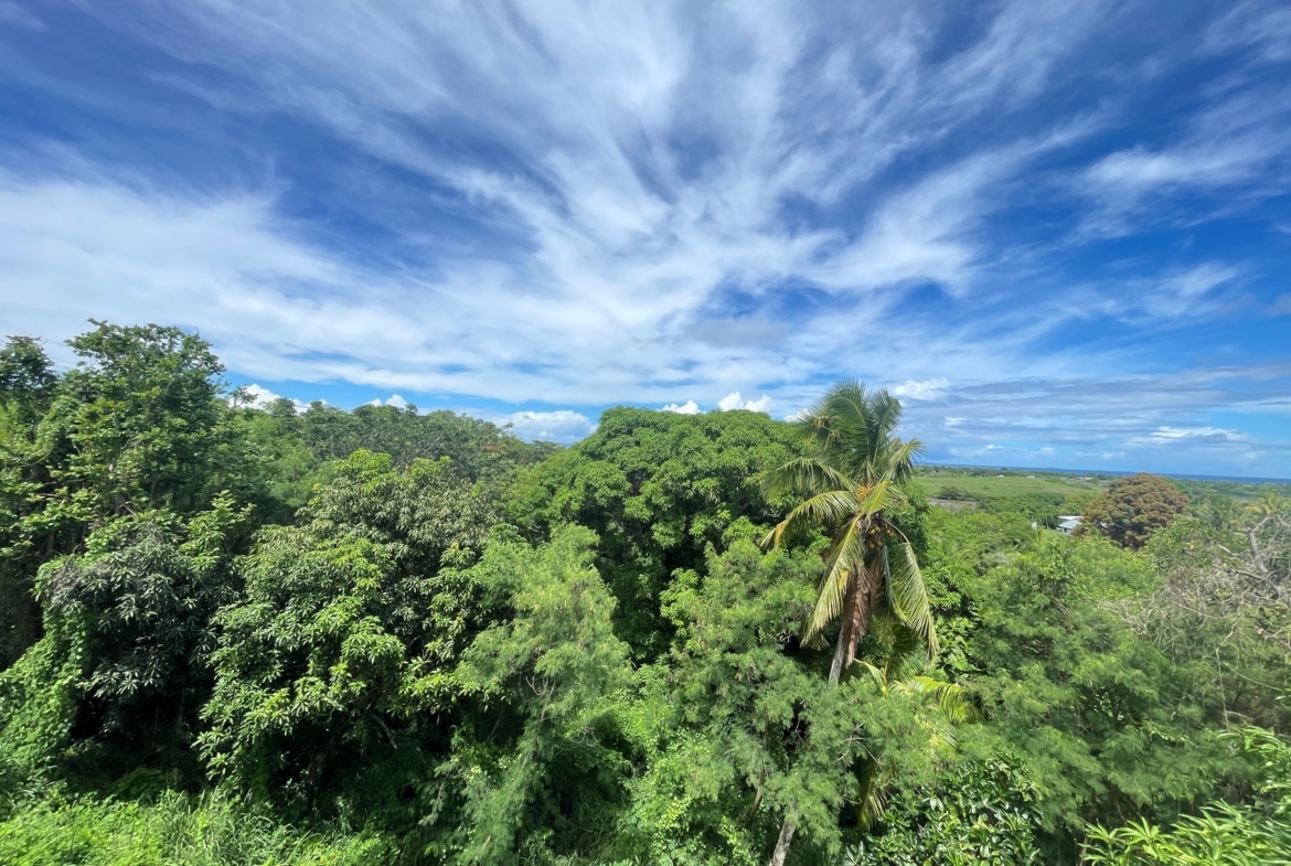 Vuda Point Road, Fiji