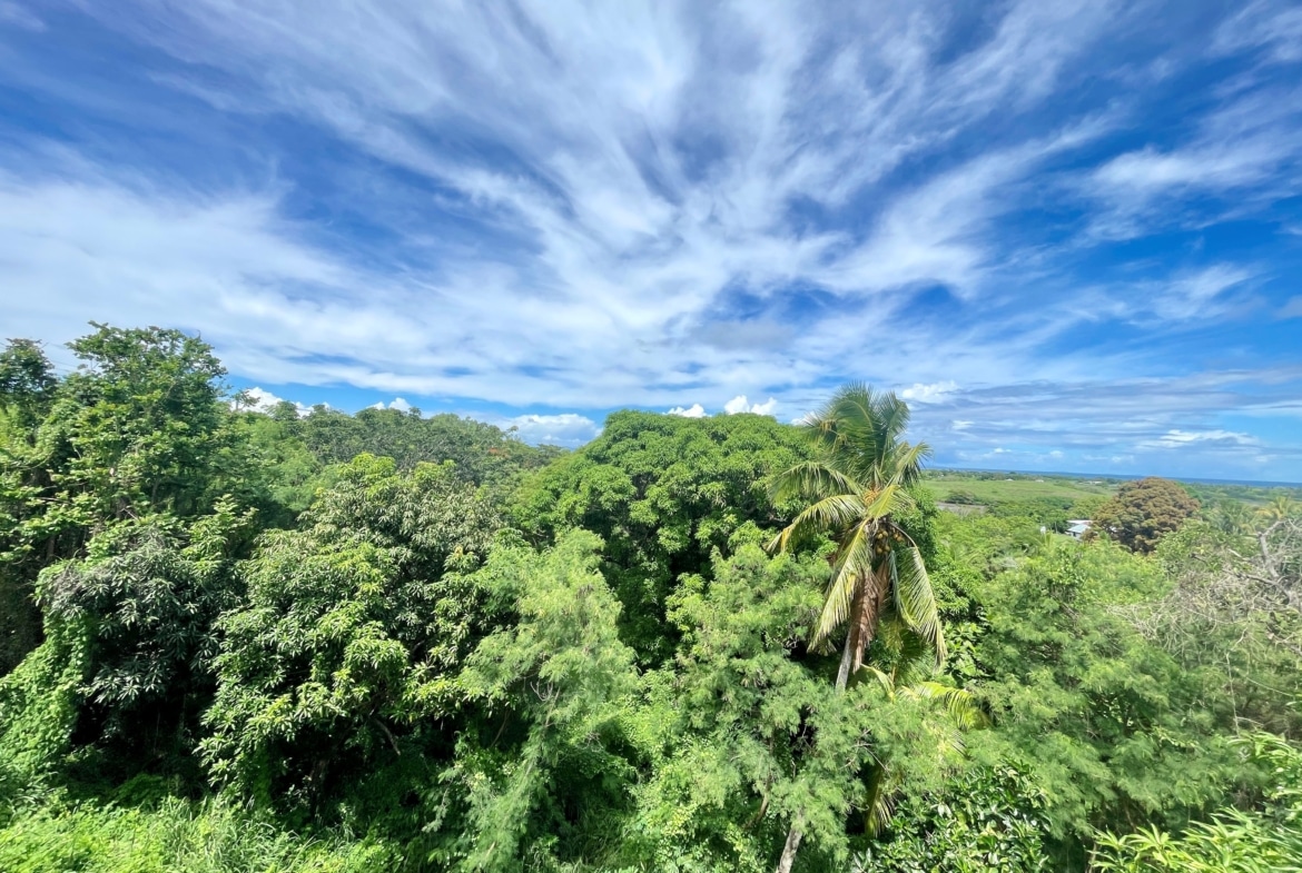 Vuda Point Road, Fiji