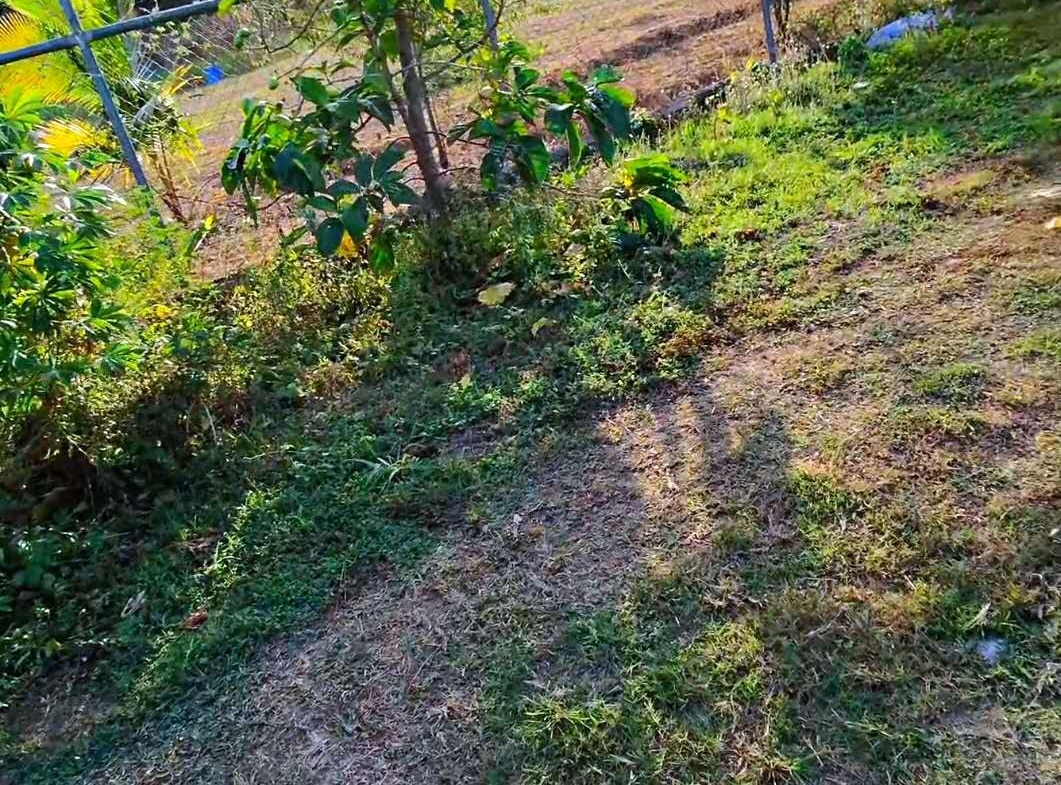 Nasoso Freehold 2 Bedroom House for Sale 南迪纳索索独栋单层2房住宅出售