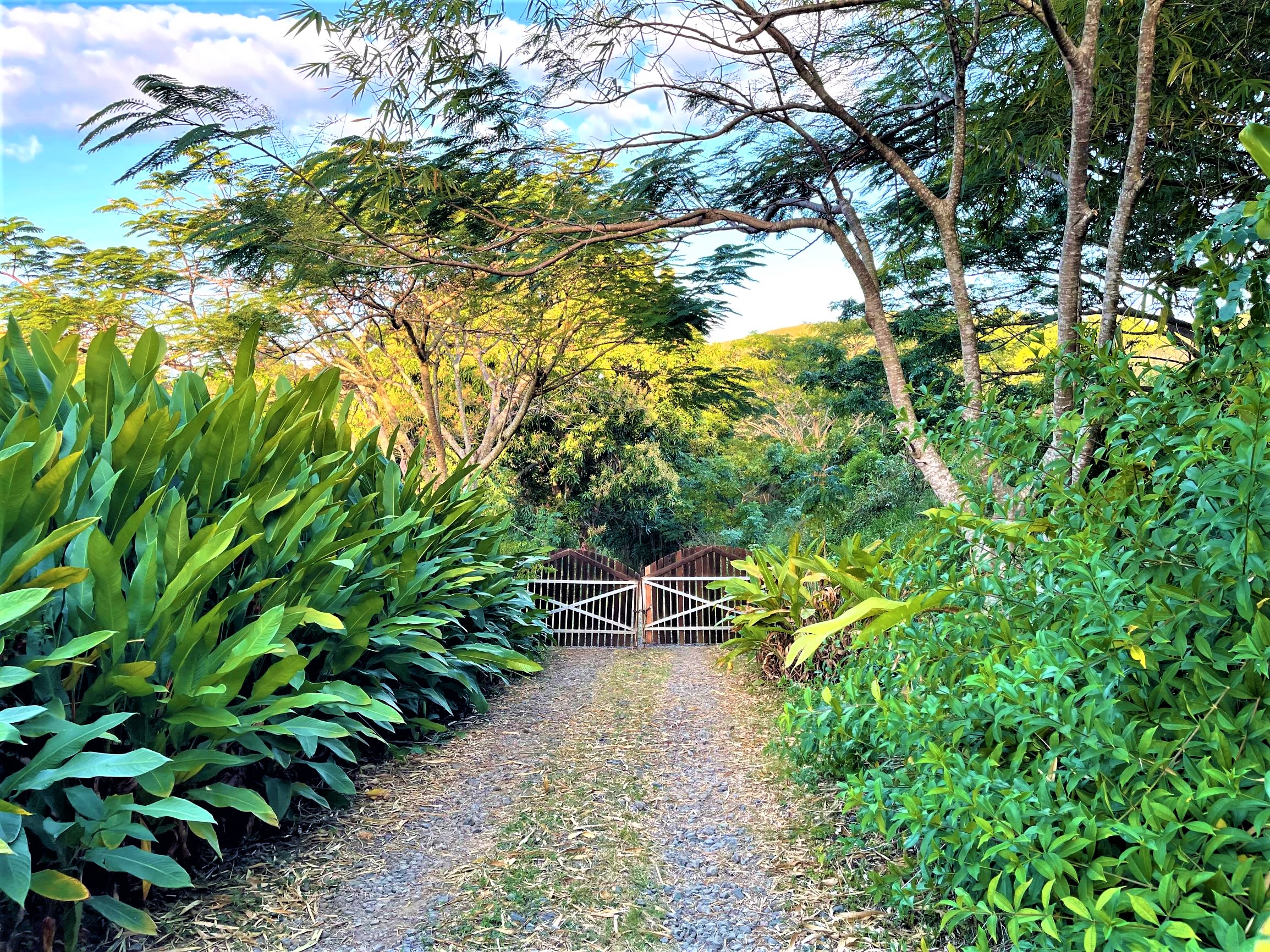 UCIWAI, NADI