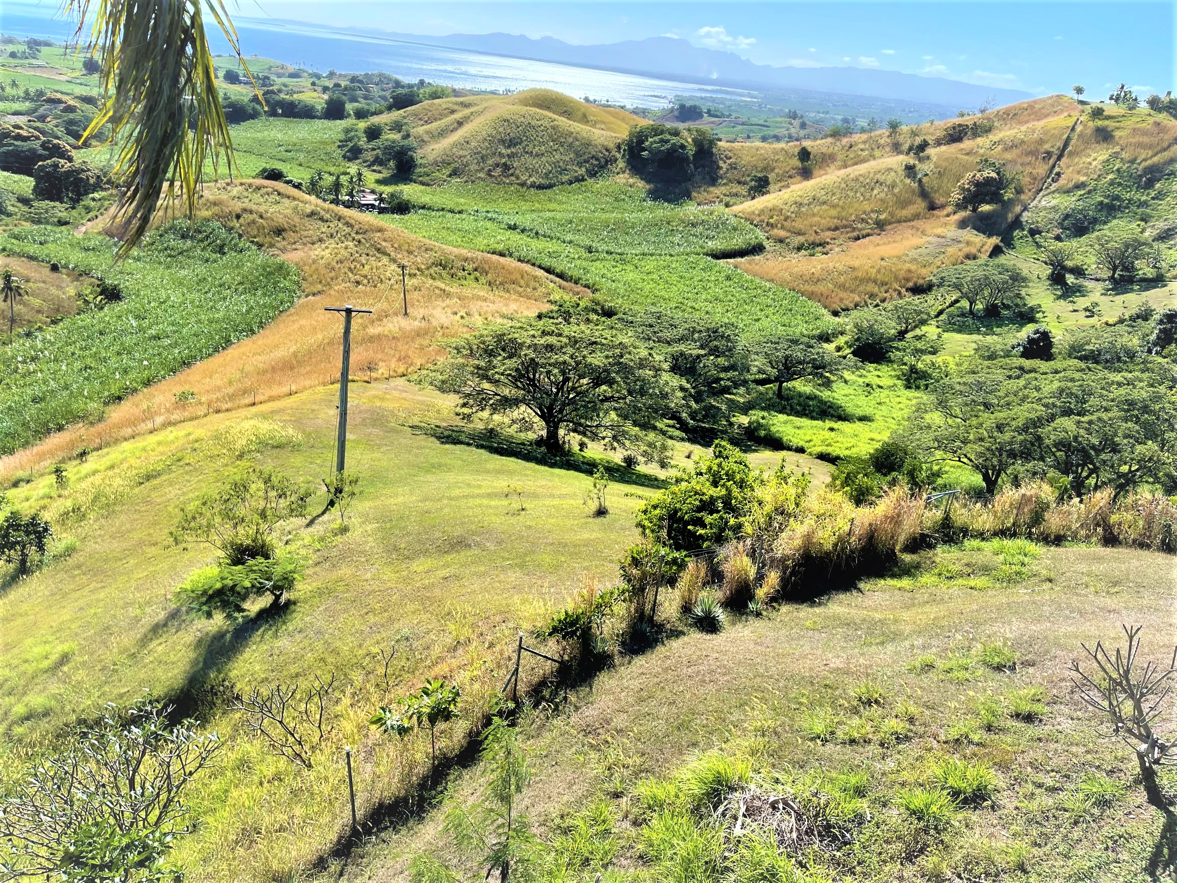 UCIWAI, NADI