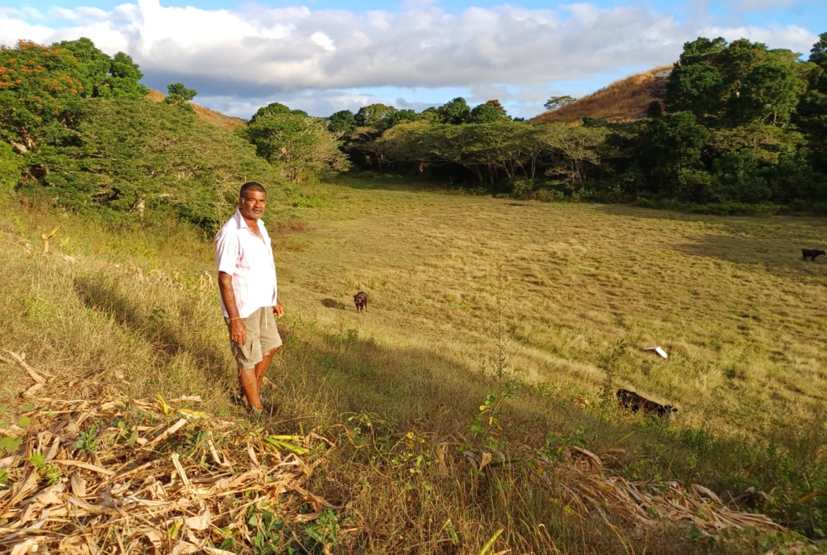 NABITU, SIGATOKA VALLEY, FIJI