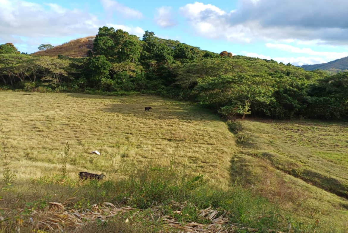 NABITU, SIGATOKA VALLEY, FIJI