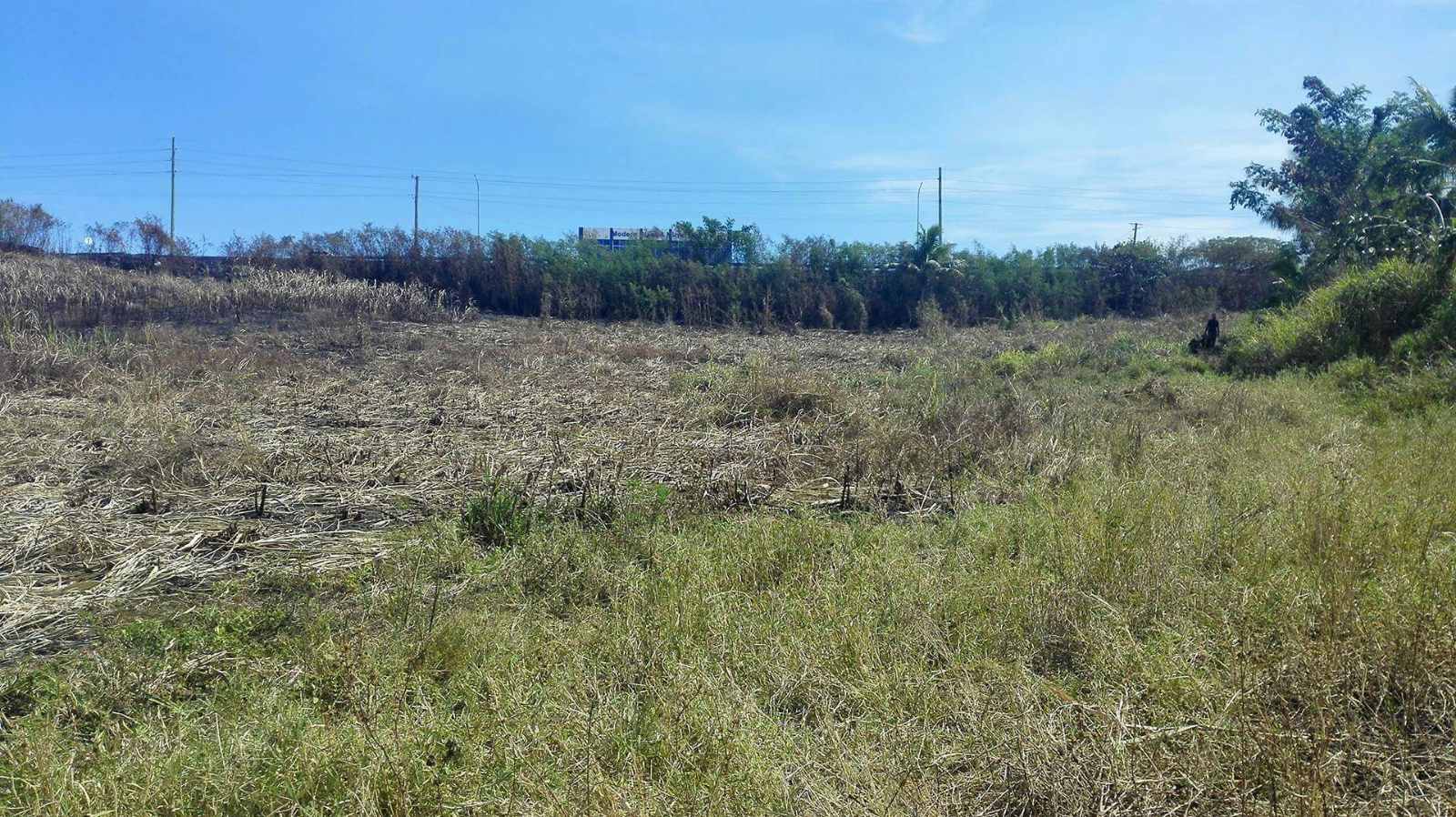 viber_image_2026-07-15_06-26-34-759 QUEENS ROAD, KOROVUTO, NADI